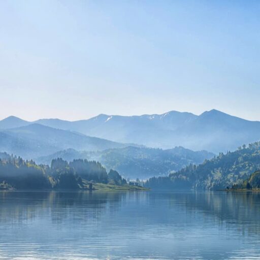 Cropped Project Background 1